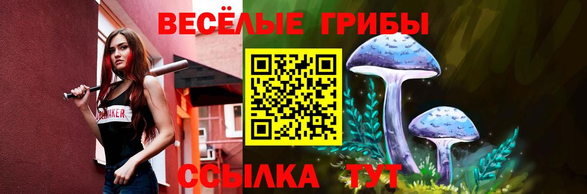 Электрогорск  Псилоцибиновые грибы Cubensis  Вход с VPN 